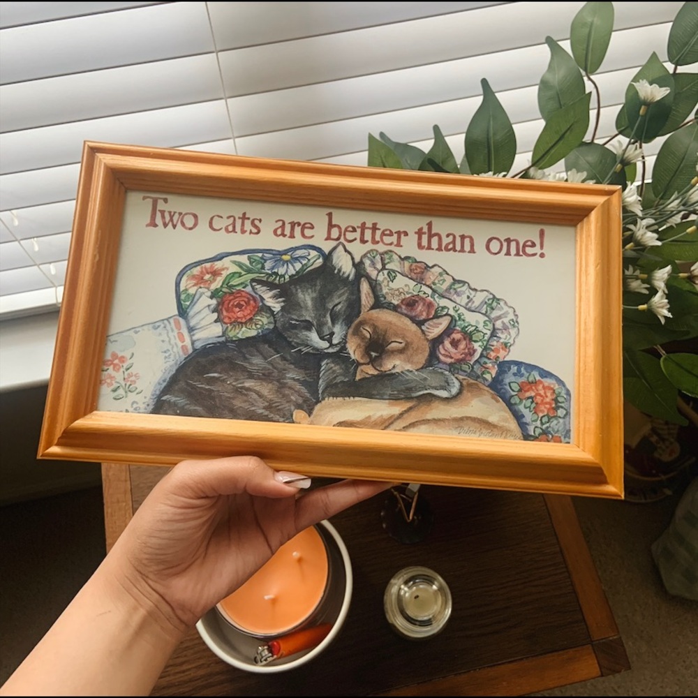 Two Cats Are Better Than One Frame